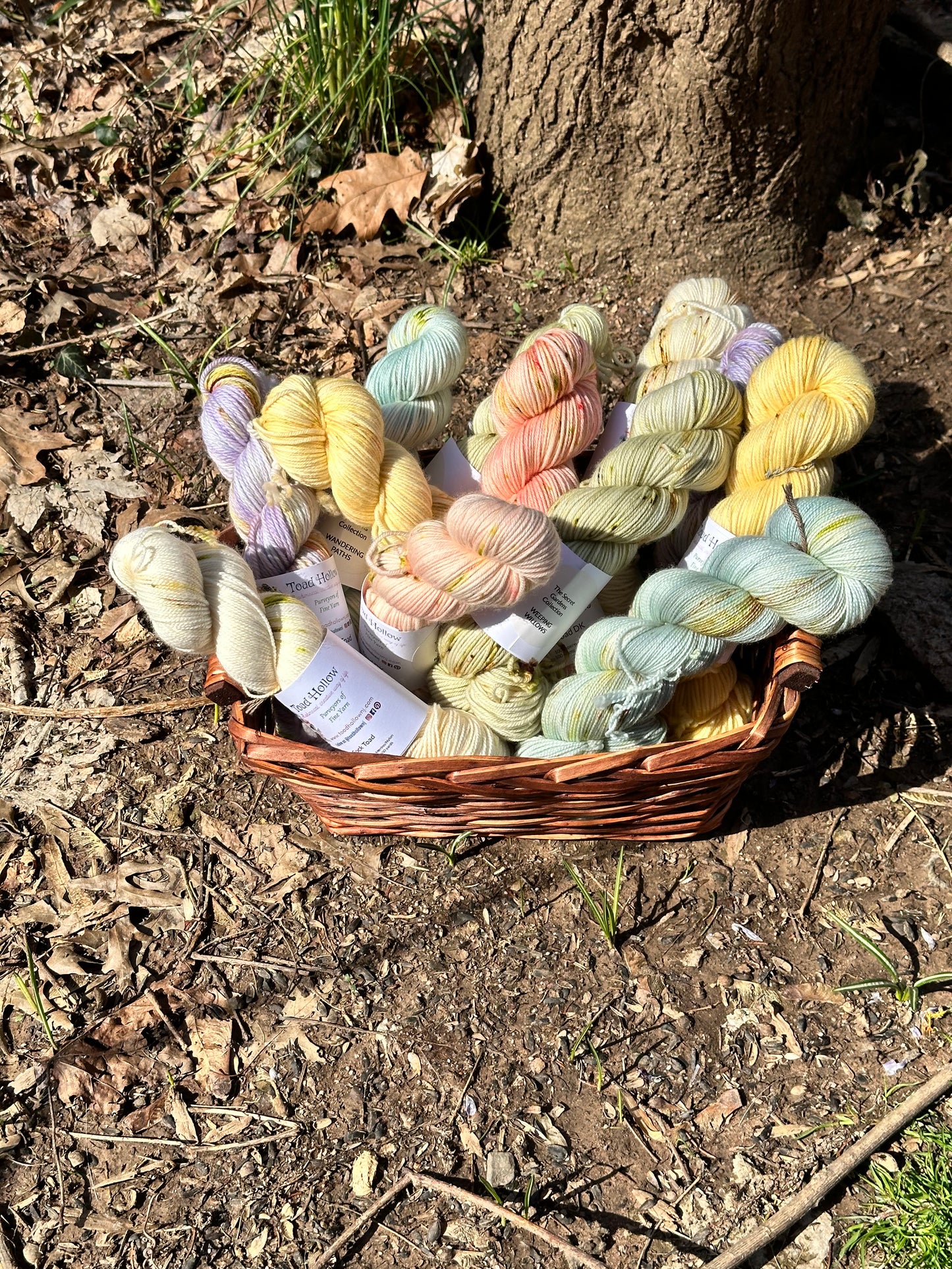 HIDDEN ENTRANCE from our Secret Gardens Collection, Hand Dyed Superwash Merino Yarn,Toad Hollow Yarns