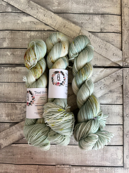 WANDERING PATHS  from our Secret Gardens Collection, Hand Dyed Superwash Merino Yarn,Toad Hollow Yarns