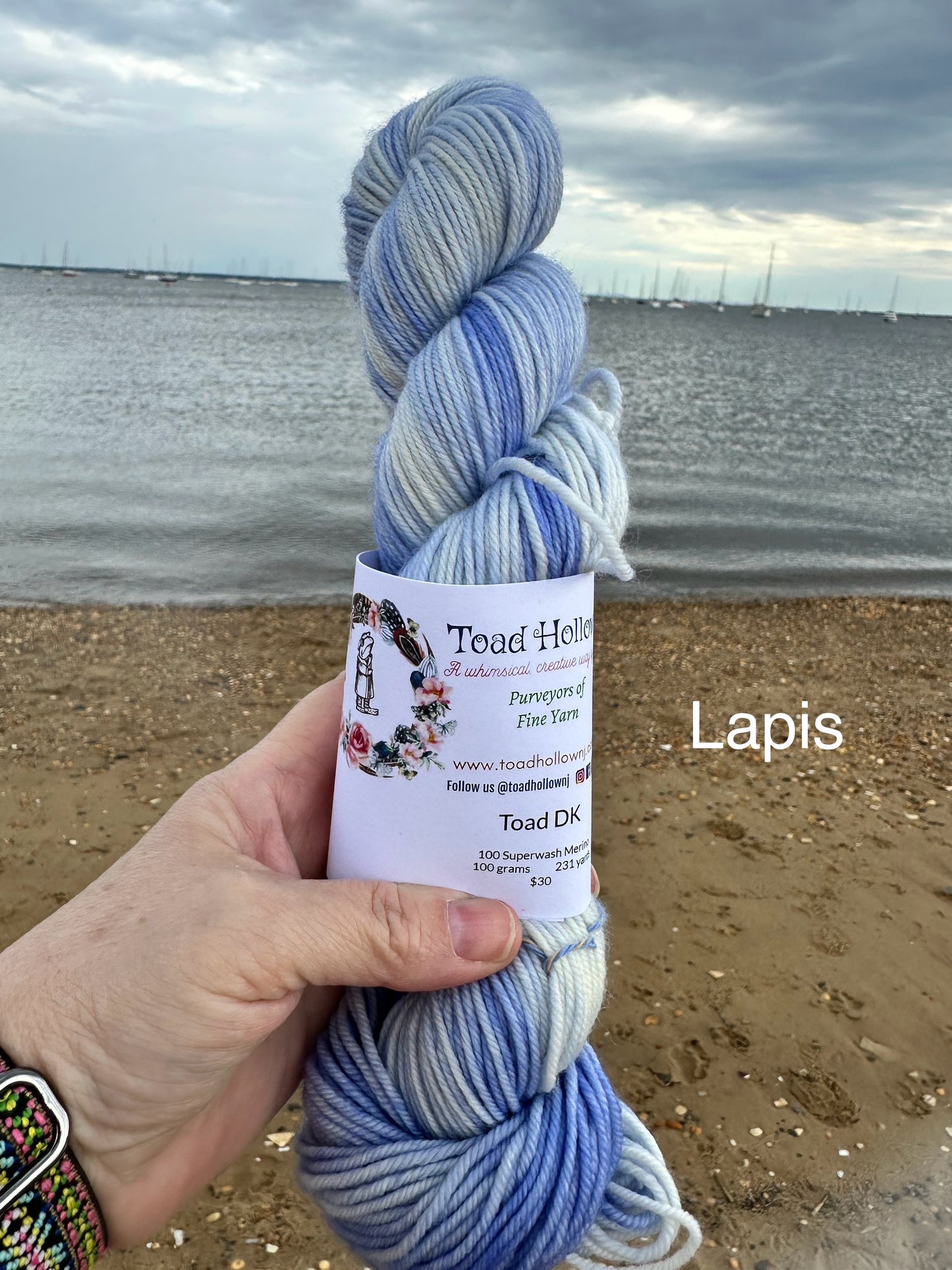 LAPIS from our Beachcomber Collection, Hand Dyed Superwash Merino Yarn,Toad Hollow Yarns