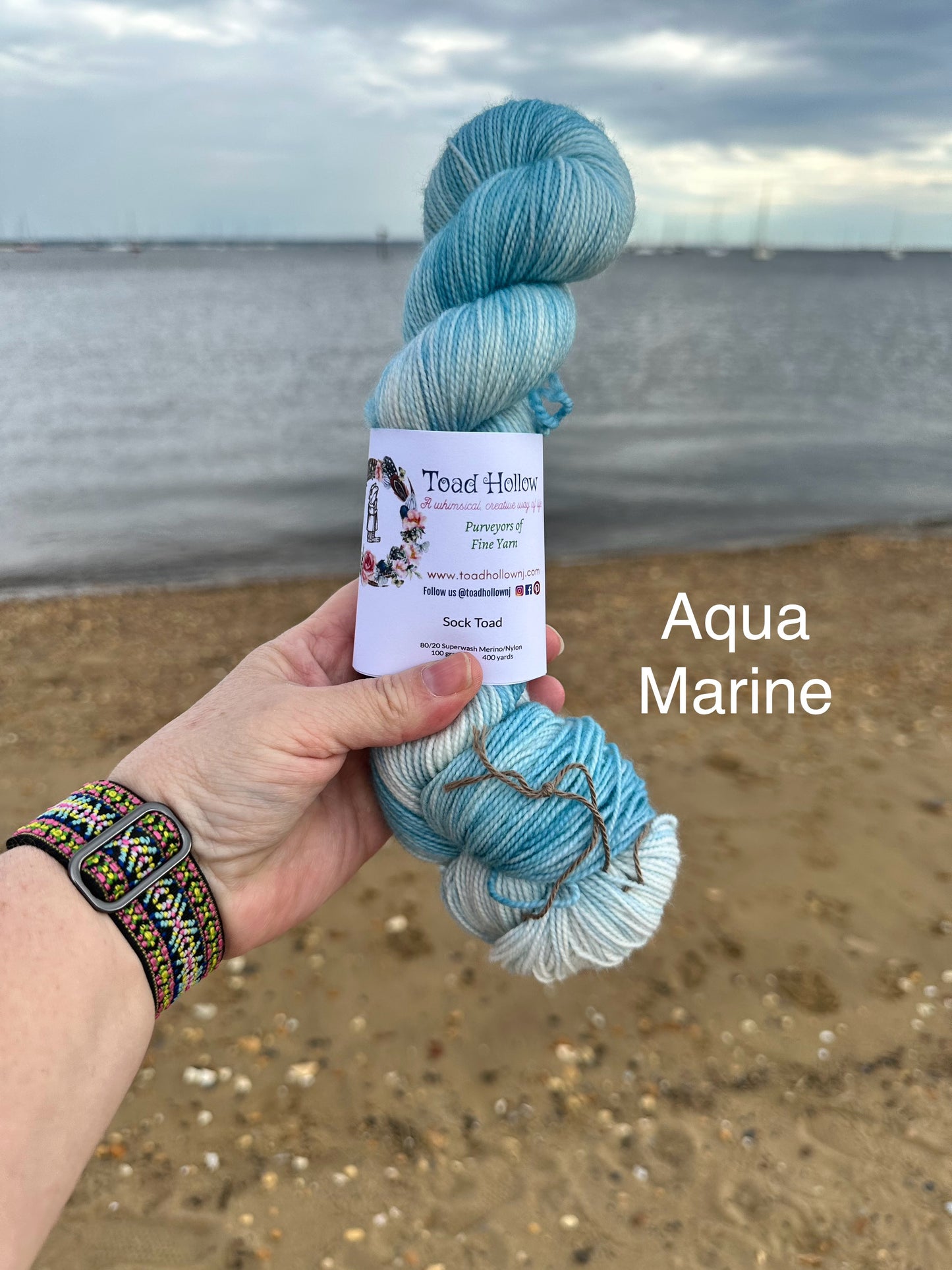 AQUA MARINE from our Beachcomber Collection, Hand Dyed Superwash Merino Yarn,Toad Hollow Yarns