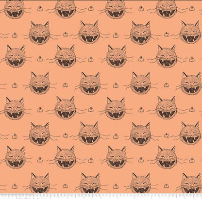 SCAREDY CAT ONE YARD BUNDLE (5 Yds) by Amanda Neiderhauser 100% Cotton, Toad Hollow Fabrics