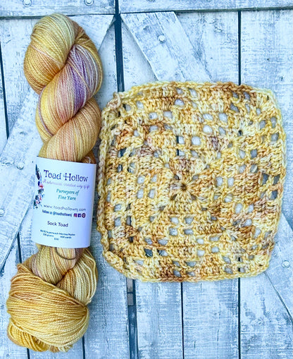 TIME FOR A DOZE - July FAVORITE BOOKS MONTHLY YARN CLUB, Hand Dyed Superwash Merino Yarn,Toad Hollow Yarns