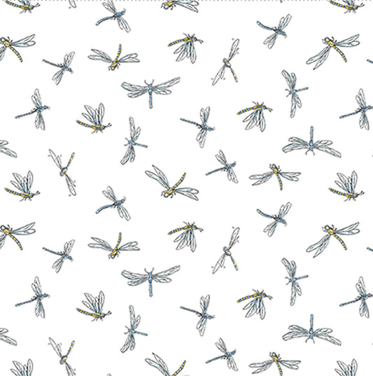 LEAP FROG - Dragonflies White - by Anita Jarem, 100% Cotton, Toad Hollow Fabrics